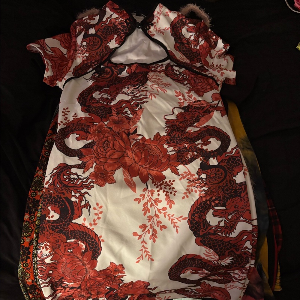 Never worn dragon print mini dress